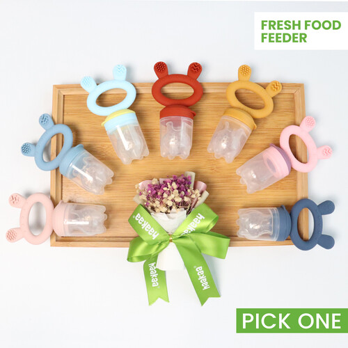 Fresh Food Feeder and Teether